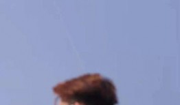 吃瓜追剧游戏免费,免费游戏畅享不停